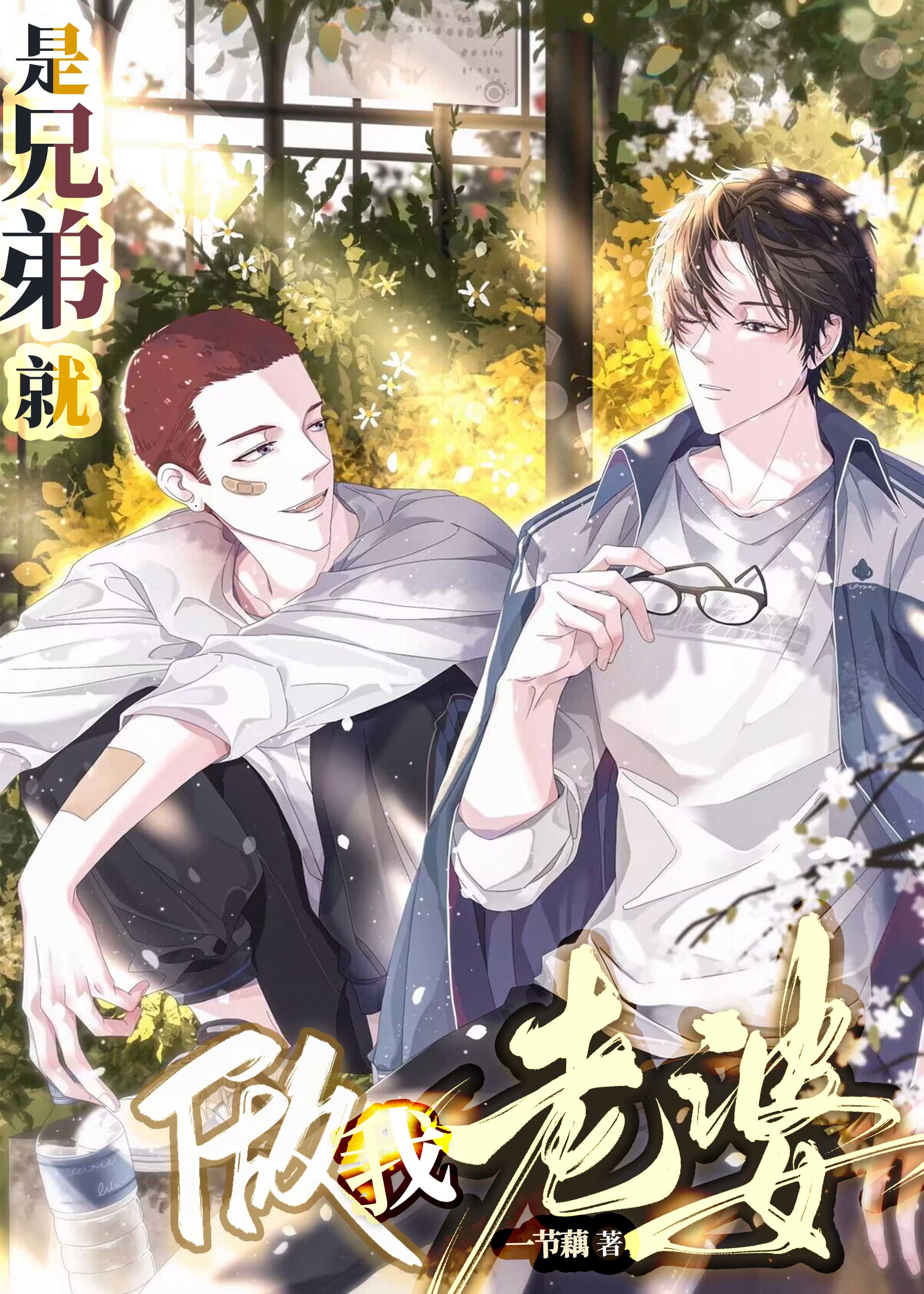 就是兄弟是什么意思